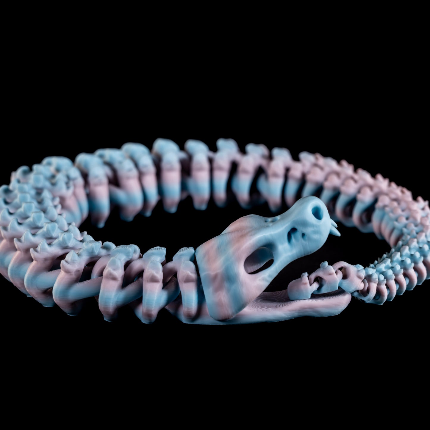 Skeleton Snake